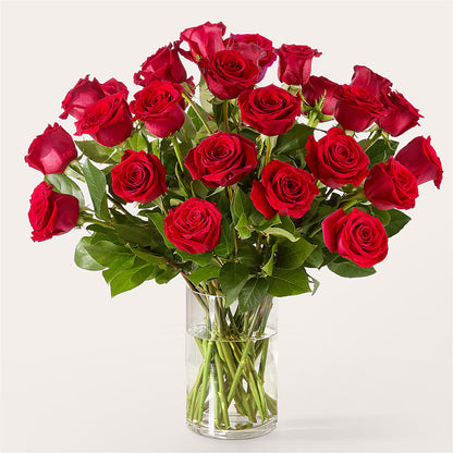 The One Red Rose Bouquet –  Dynamic Flowers Of Royal Oak, Royal Oak MI