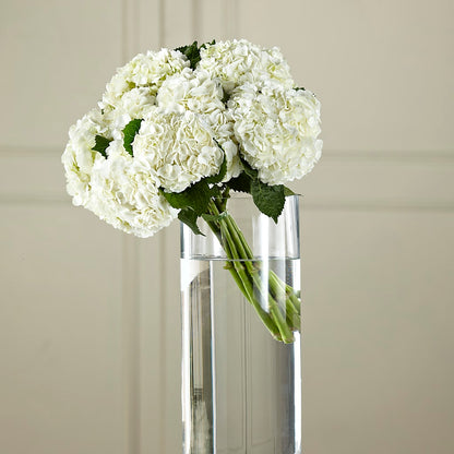 White Hydrangea Hand-Tied Bouquet –  Dynamic Flowers Of Royal Oak, Royal Oak MI